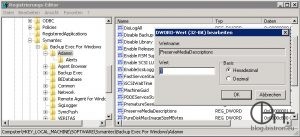 Backup Exec2012 RegistryKey PreserveMediaDescriptions
