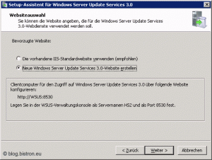 Setup-Assistent für Windows Server Update Services 3.0: Schritt 6 - Websiteauswahl